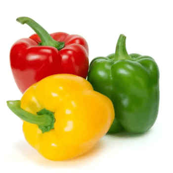 Bell Peppers Combination Freshfarmsexim-2