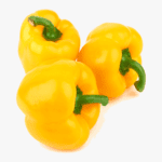 Yellow Bell Pepper- Freshfarmsexim