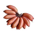 Banana Red Freshfarmsexims-9