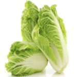 Chinese Cabbage Freshfarmsexim-1