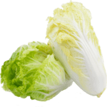 Chinese Cabbage Freshfarmsexim-2