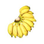 Elachi Banana Freshfarmsexim-3