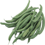 Green Beans Freshfarmsexim-3