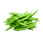 Green Beans Freshfarmsexim-5