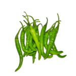 Green-Chili-Freshfarmsexim-3