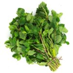 Mint Leaf Freshfarmsexim-1