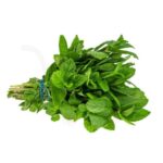 Mint Leaf Freshfarmsexim-2