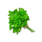 Mint Leaf Freshfarmsexim-3