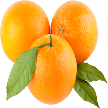 Orange Freshfarmsexim-1