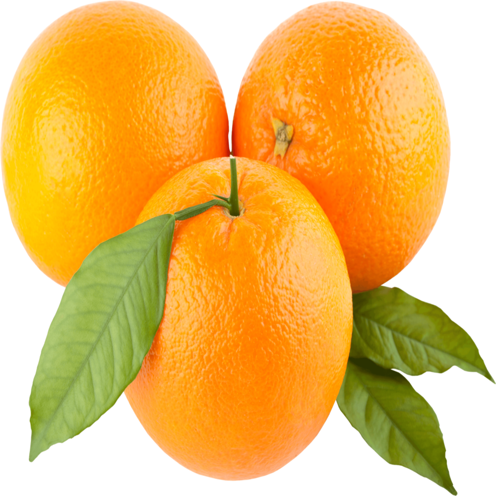 Orange Freshfarmsexim-1