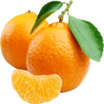 Orange Freshfarmsexim-3