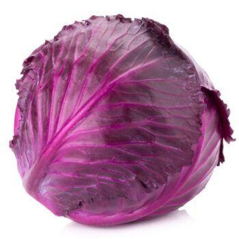 Red Cabbage-Freshfarmsexim-1