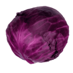 Red Cabbage-Freshfarmsexim-4