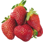 Strawberry Freshfarmsexim-1