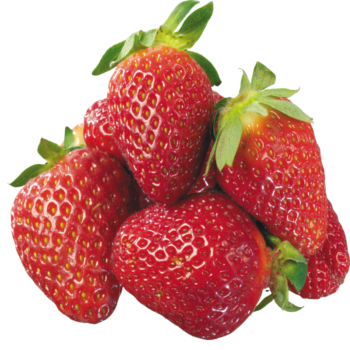 Strawberry Freshfarmsexim-1