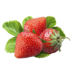 Strawberry Freshfarmsexim-3