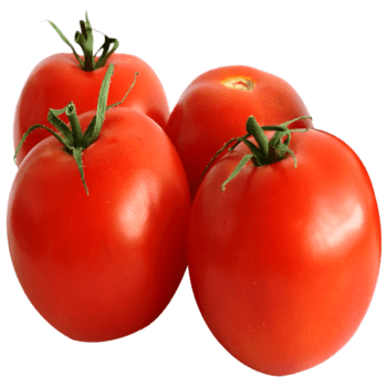 Tomato Freshfarmsexim-2