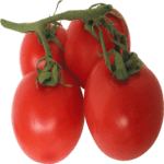 Tomato Freshfarmsexim-3