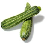 Zucchini Freshfarmsexim
